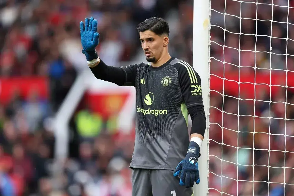 entit, 科上位的机 entit, 科上位的机